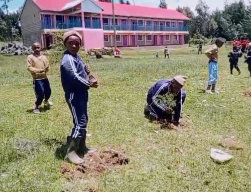 Nurturing Faith and Nature as We Mark 15 Years of Service