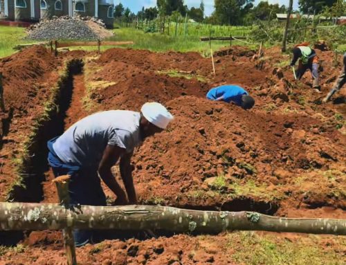Laying the Foundation of a Modern Kitchen